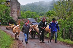 photo Aubrac, des lumières et des hommes - Film documentaire d'Hervé Josso