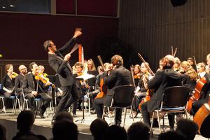 photo Musicales de Fontaine - Concert symphonique 