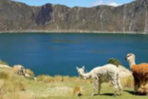 photo Projection commentée sur l'equateur suivie d'une table espagnole