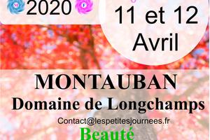 Salon du bien être de Montauban , domaine de longchamps