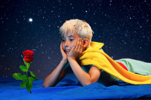 photo Le Petit Prince