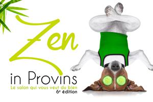 photo Salon Zen in Provins