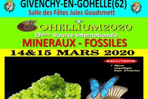 GOHELLIUM2020,19éme Bourse Internationale Minéraux-Fossiles-Bijoux