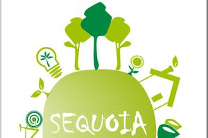 SEQUOIA - Atelier Transport