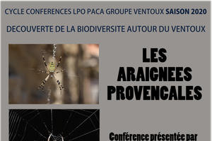 Conférence Les Araignées Provençales