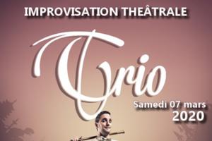 photo Trio, Le spectacle d'impro