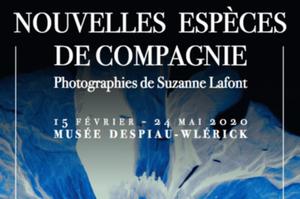 Exposition photos 