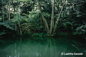 photo Paysage(s) en vue(s)