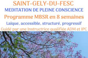 Méditation de Pleine Conscience Réunion d'information sur le Programme MBSR en 8 semaines crée par le Pr Jon Kabat-Zinn