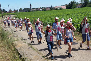 Chemin Gourmand de Nuits-Saint-Georges - 11ème édition !