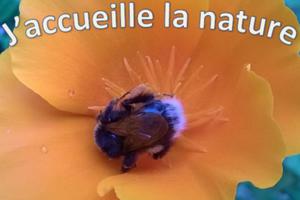 photo BIODIVERSITE DANS LES JARDINS