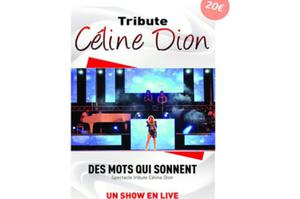 photo Des mots qui sonnent - Tribute Céline Dion