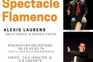 photo SPECTACLE FLAMENCO