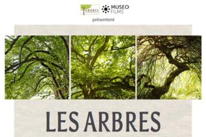 Ciné-débat gratuit : Les arbres remerquables, un patrimoine à protéger