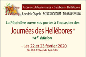 photo 14e Journées des Hellébores à Xirocourt