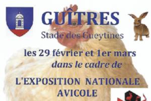 Exposition nationale avicole et Vide-grenier