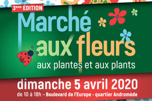 photo Marché aux fleurs, aux plantes et aux plants