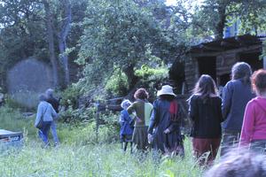 photo Programmation Théâtre d'Or en mars