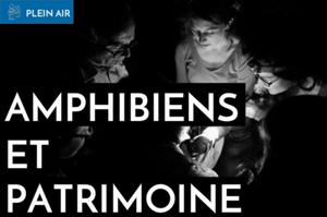 Amphibiens et patrimoine