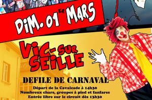 photo Carnaval du Saulnois 2020 à Vic sur Seille