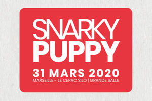 photo Snarky Puppy - Jazz des Cinq Continents