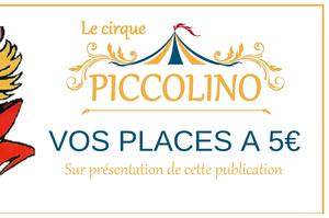 Spectacle du cirque Piccolino