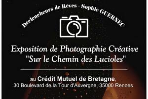 Exposition de Photographie Créative 