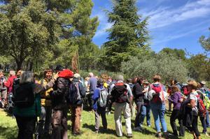 Marche Populaire des épouvantails - Saint-Cannat