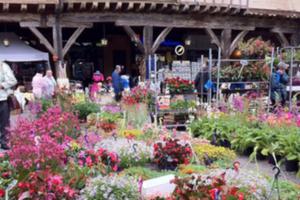 Grand Marché aux Fleurs