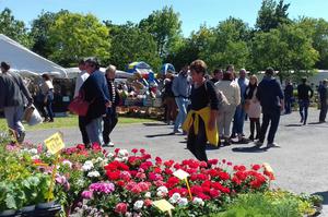 34 ème FETE DES FLEURS