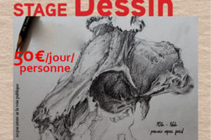 photo Dessin observation