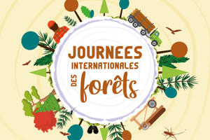 photo Journée Internationale des Forêts - Devenez forestier d'un jour !