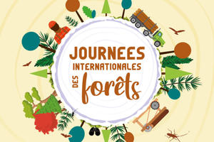 Journée Internationale des Forêts - Devenez forestier d'un jour !