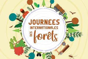Journée Internationale des Forêts - Des forêts pour demain