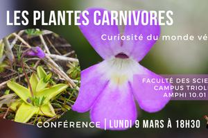 Les Plantes Carnivores : curiosité du monde végétal