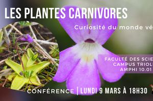 photo Les Plantes Carnivores : curiosité du monde végétal