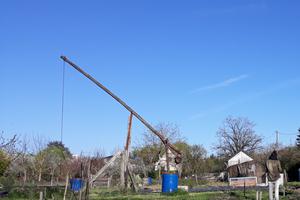 Formation Taille des Arbres au Jardin Partagé de la Poudrière - Déclam'