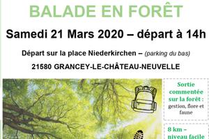 Balade en forêt