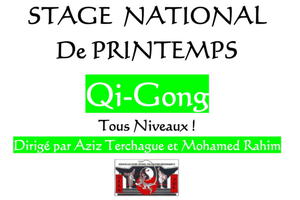 photo Stage de Qi-Gong