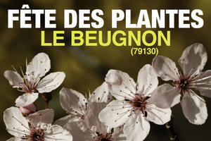 Fête des Plantes