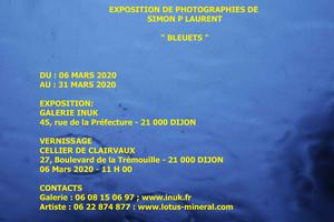 photo Bleuets