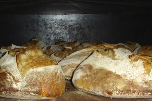 photo Visite guidée - Thomas Barthout, paysan boulanger