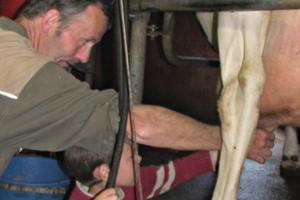 jeudi matin à la ferme