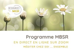 photo Méditation pleine conscience - programme MBSR en ligne