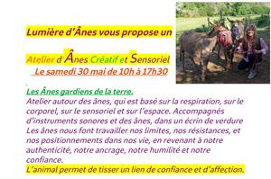 ATELIER ÂNES CRÉATIF ET SENSORIEL