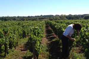 Visite de Chai - dégustation - vente vins de Chateaumeillant