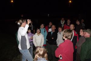 photo Les chauves-souris, hôte de la nuit