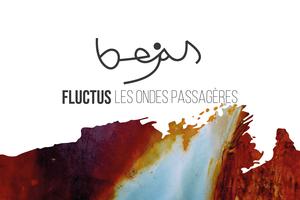 FLUCTU, Les Ondes Passagères