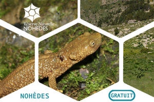 photo Conférence sur les calotritons