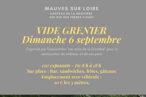 photo Vide grenier / Mauves-sur-Loire